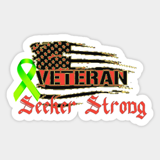 Veteran & Seeker Strong V2 Sticker